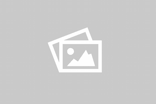 PRESTONE Zimowy płyn do spryskiwaczy -20°C 4L